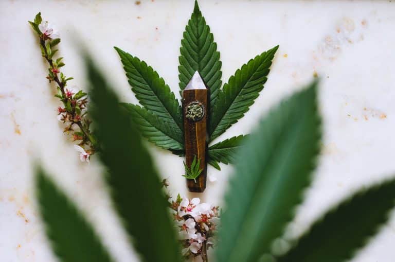 Cannabisaktier listade på Aktieskolan.se
