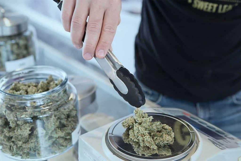 Aurora Cannabis